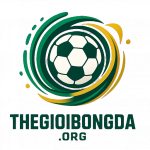 thegioibongda
