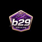 B29usorg