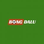 bongdaluguruu