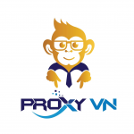 proxyvnsg
