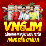 vn6bnew