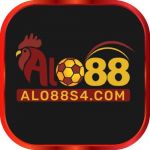 alo88s4com