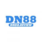 dn88review