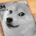 SieuDoge