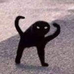 icatlolololololol