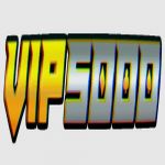vip5000co