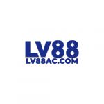 lv88accom