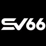 sv66navy