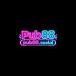 Pub88social