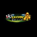 tcacuocbongdahp