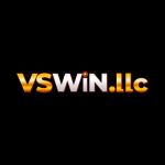vswinllc