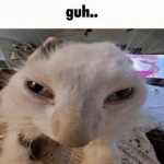 WackyGoober