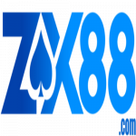 Zx88store
