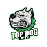 topdogiptvstore