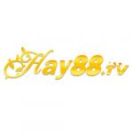 hay888gbnet