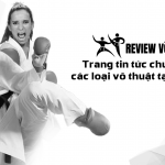 reviewvothuat