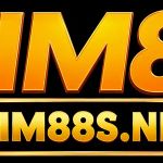 kim88snet
