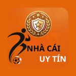 nhacaiuytinvscom