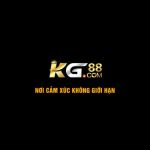 kg88cam
