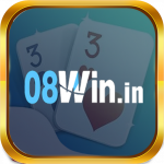 08winin