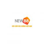 new882info2