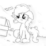 An-Anon